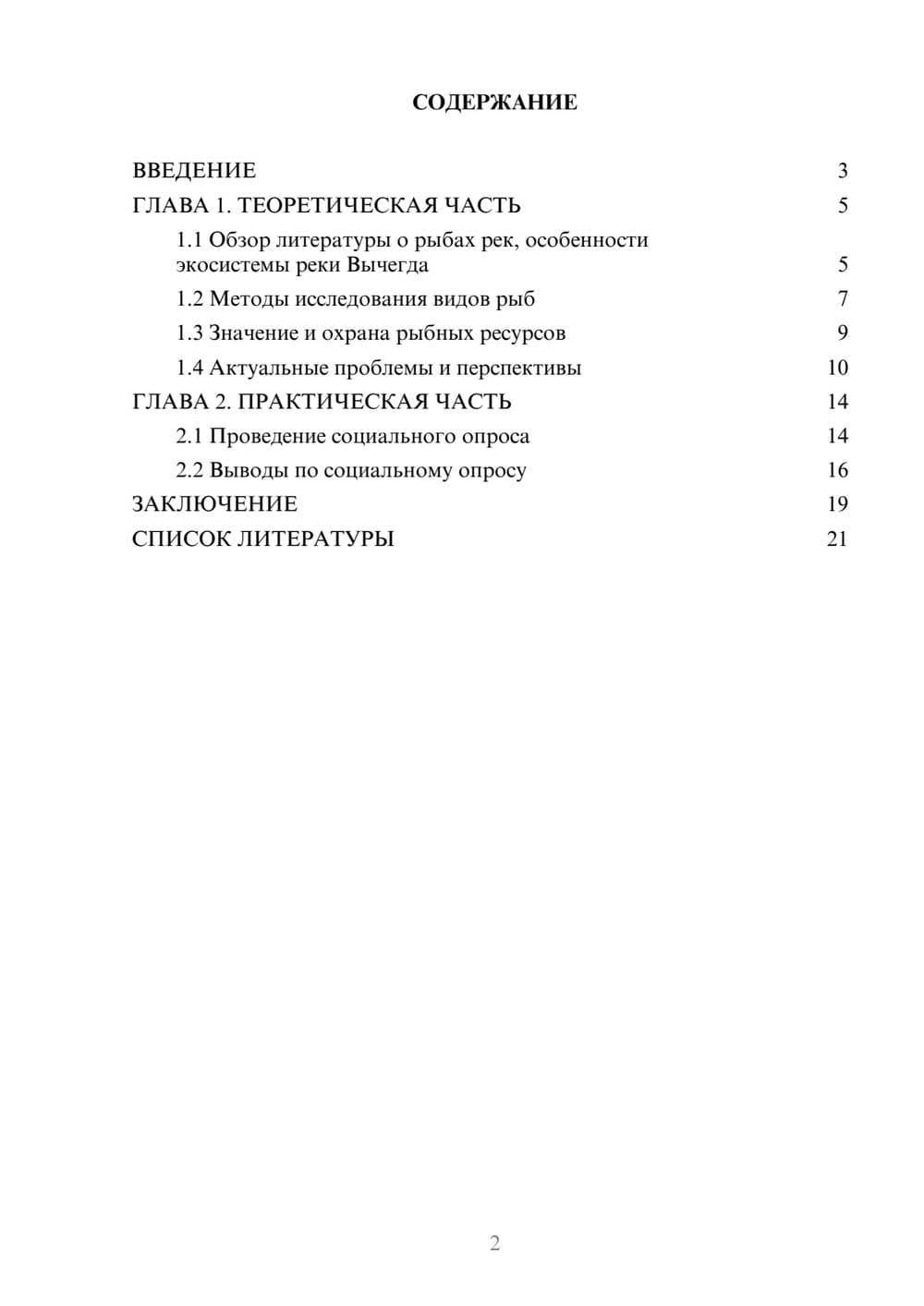 Предпросмотр проекта 2