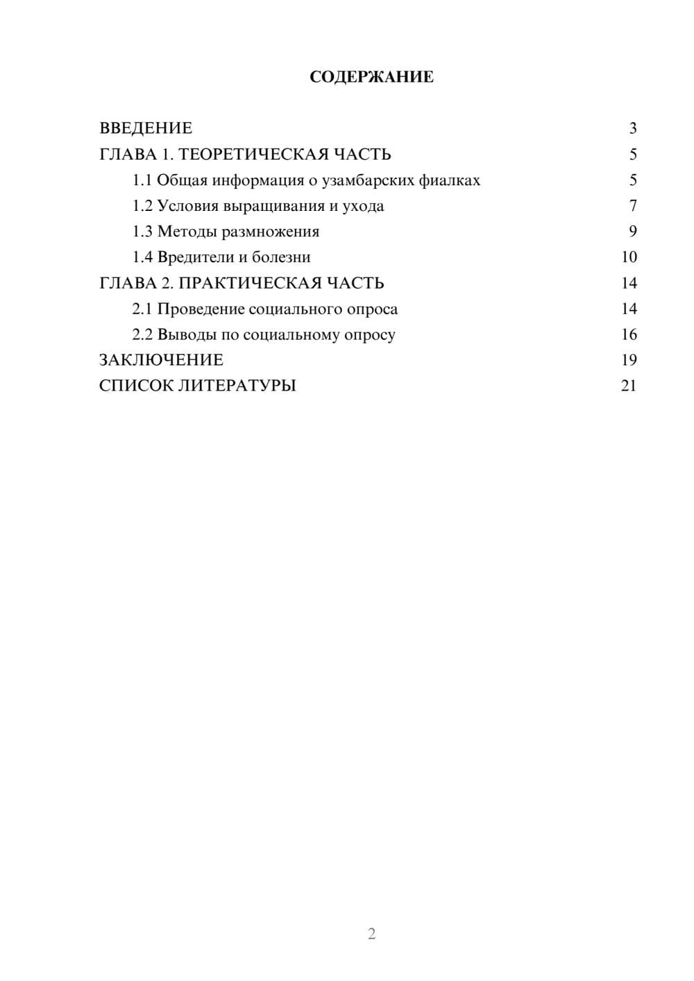 Предпросмотр проекта 2