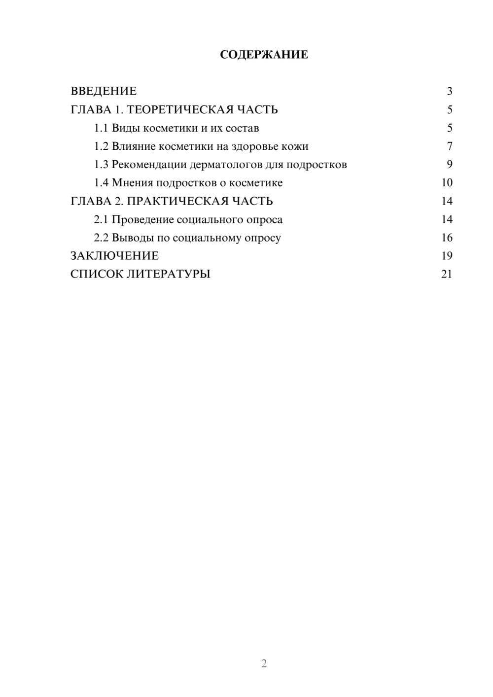 Предпросмотр проекта 2