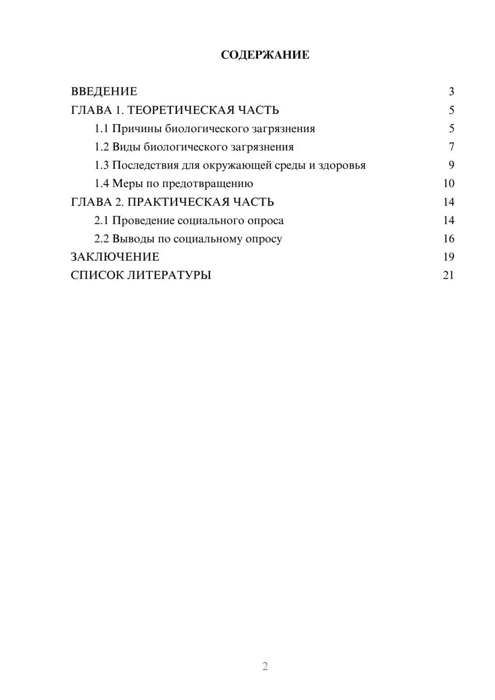 Предпросмотр проекта 2