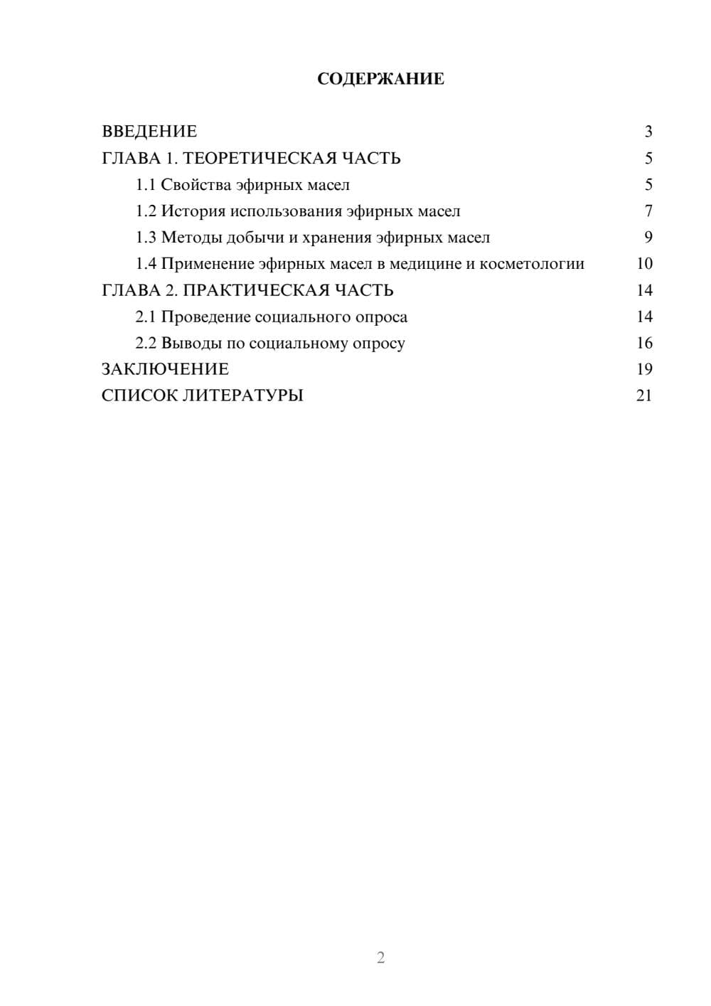 Предпросмотр проекта 2