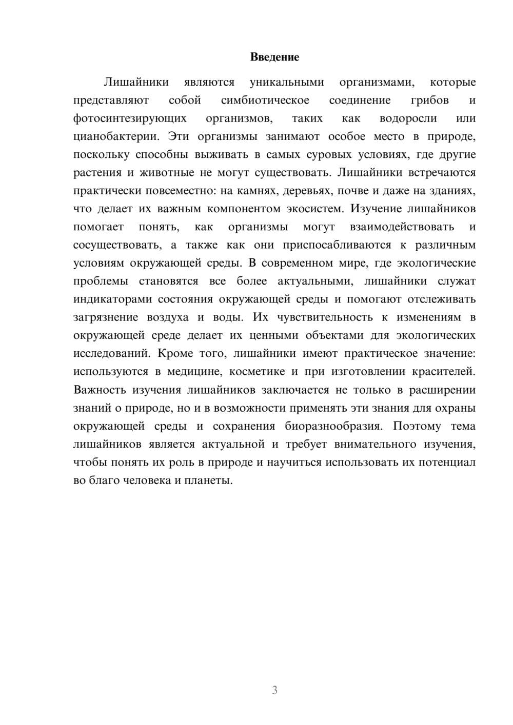 Предпросмотр доклада 3