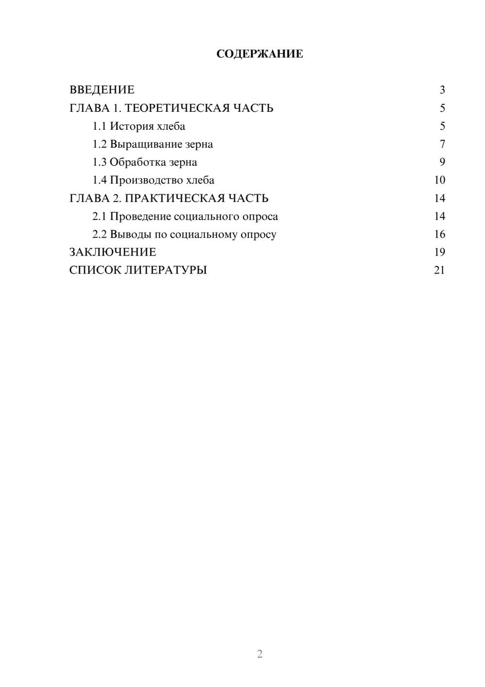Предпросмотр проекта 2