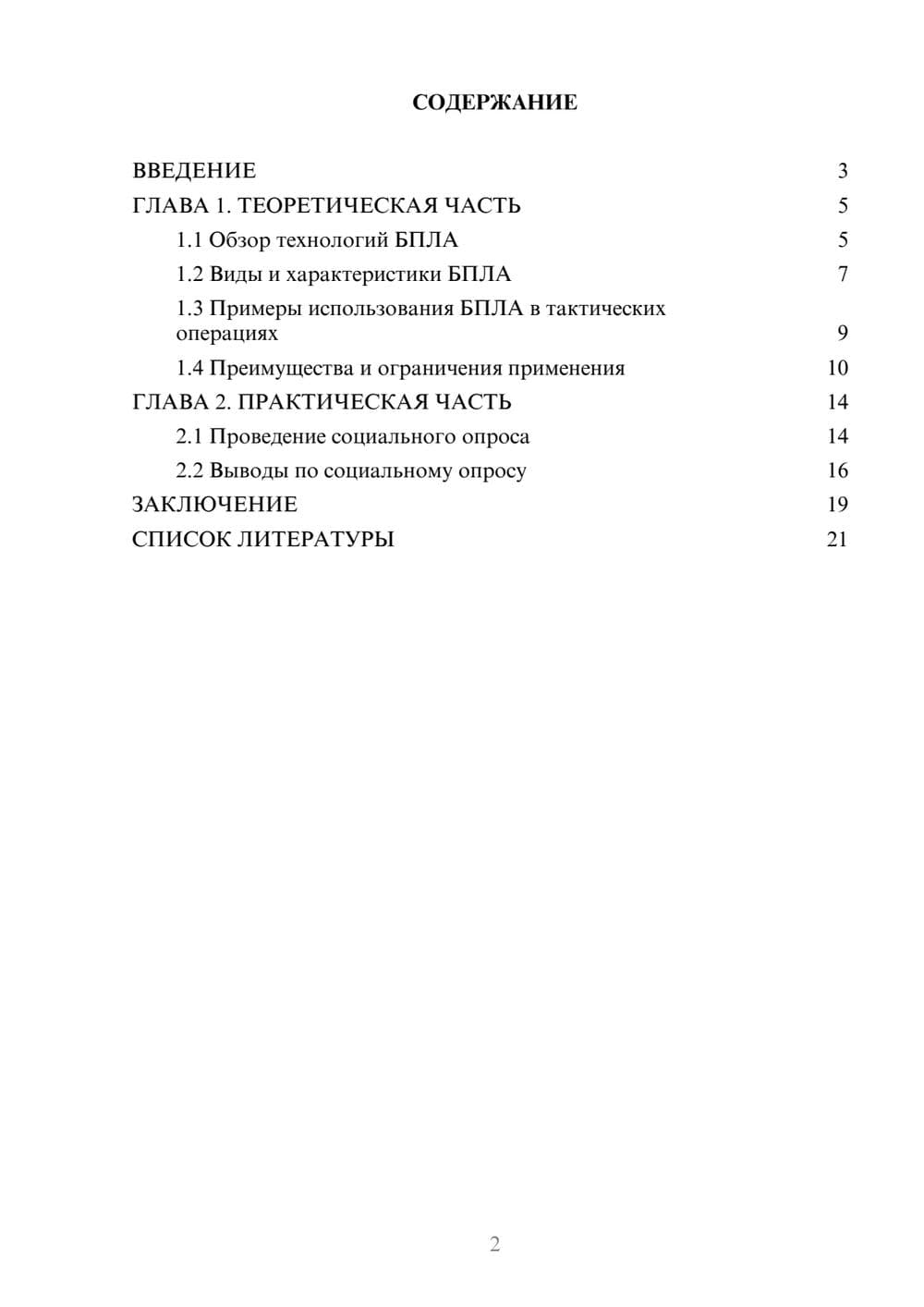 Предпросмотр проекта 2