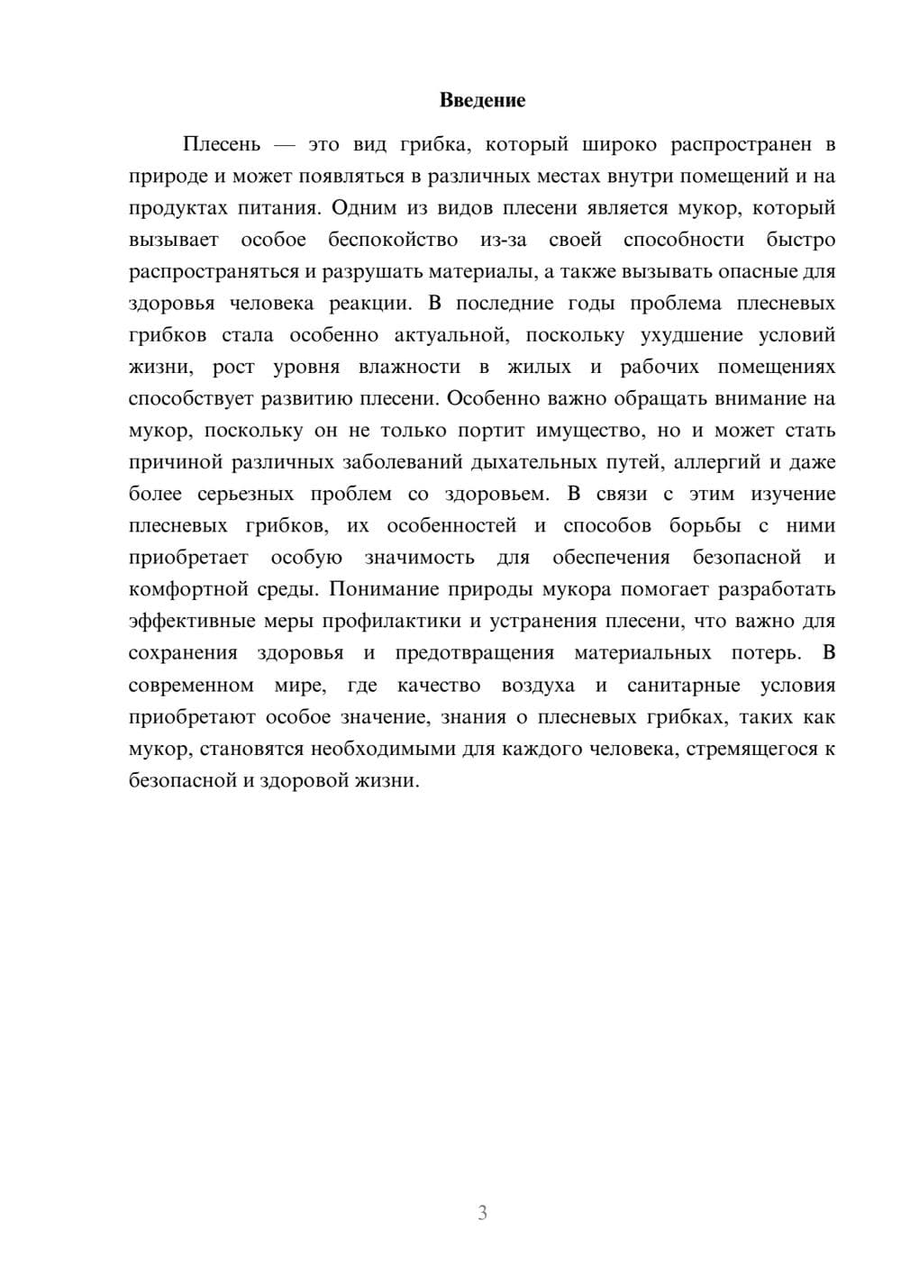 Предпросмотр доклада 3
