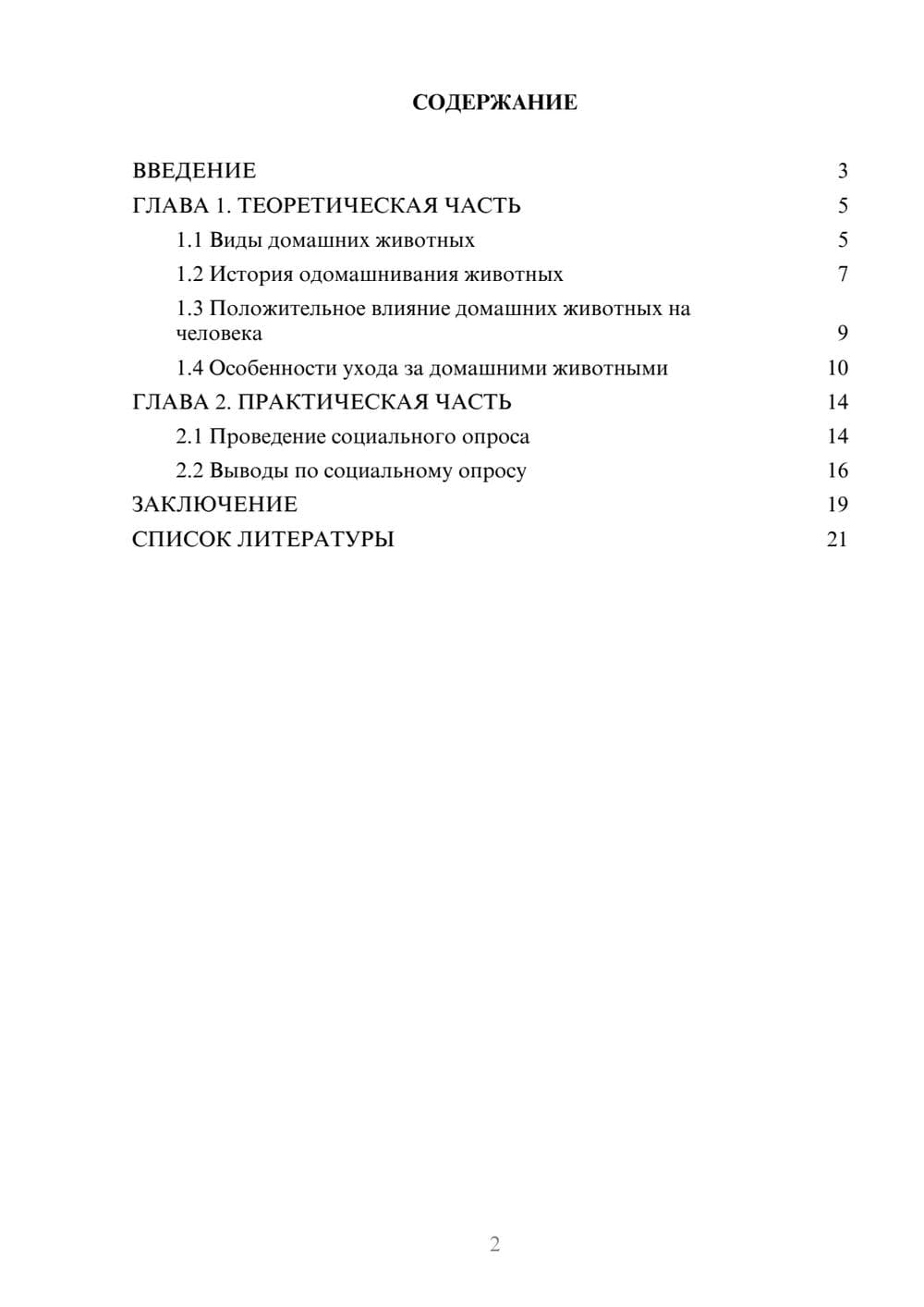 Предпросмотр проекта 2