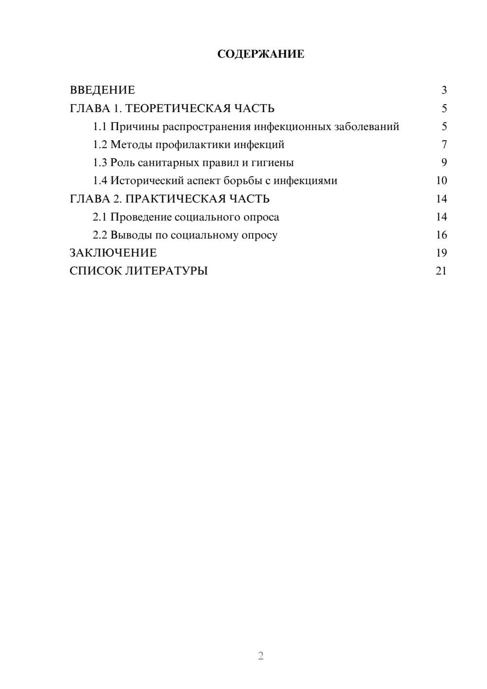 Предпросмотр проекта 2
