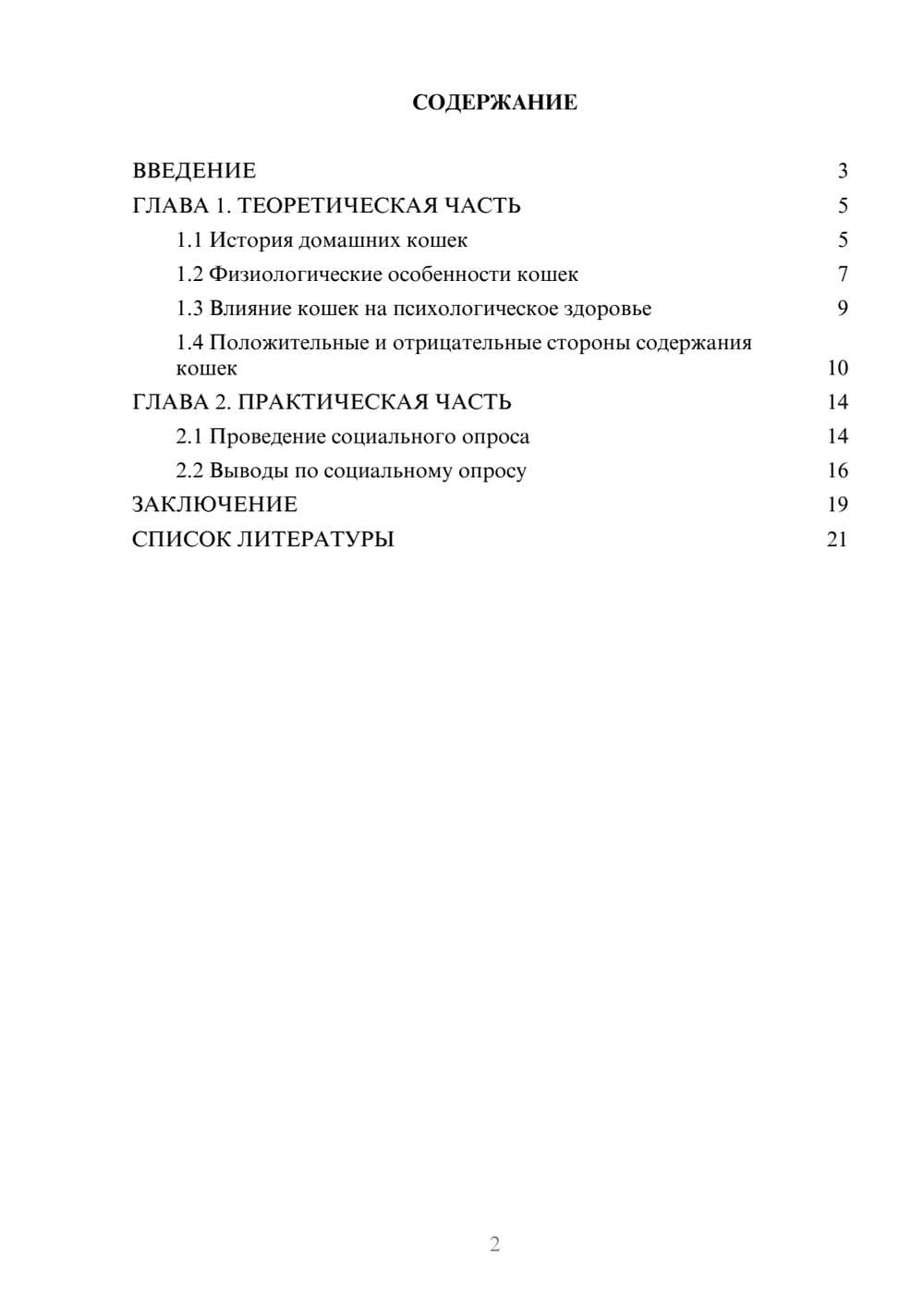 Предпросмотр проекта 2