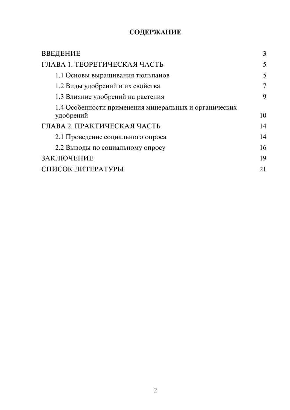 Предпросмотр проекта 2
