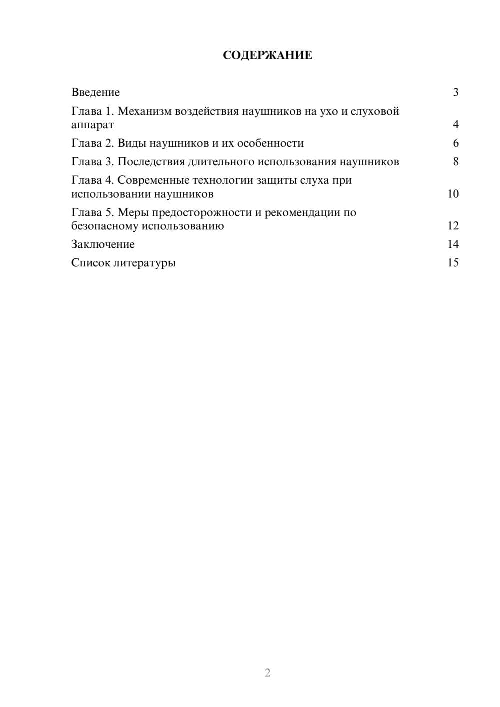 Предпросмотр доклада 2