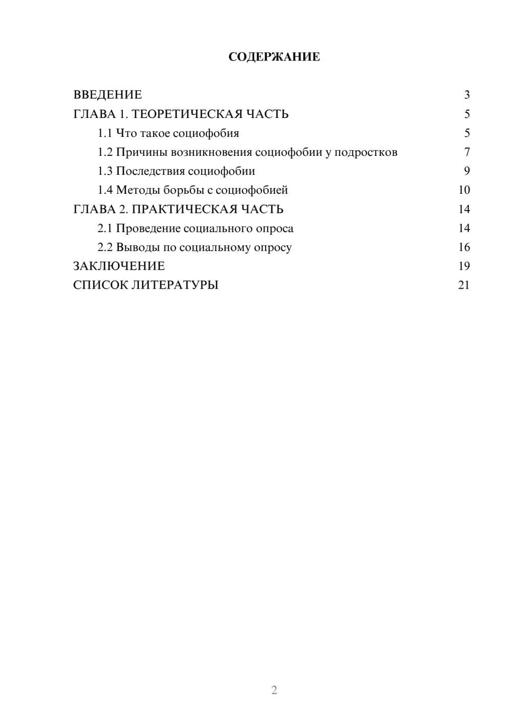 Предпросмотр проекта 2