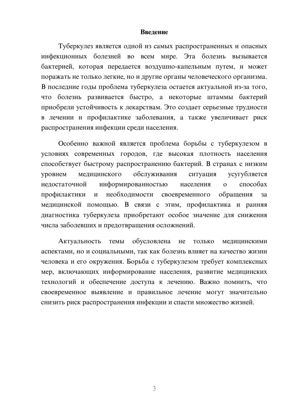 Предпросмотр доклада 3