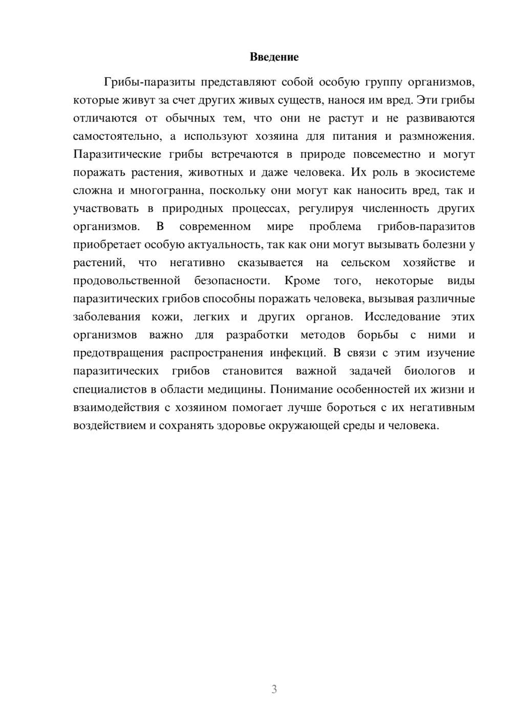 Предпросмотр доклада 3