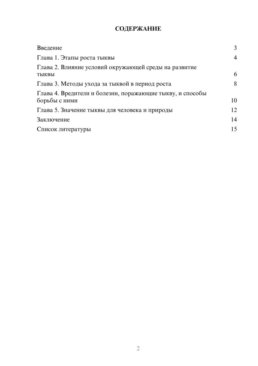 Предпросмотр доклада 2