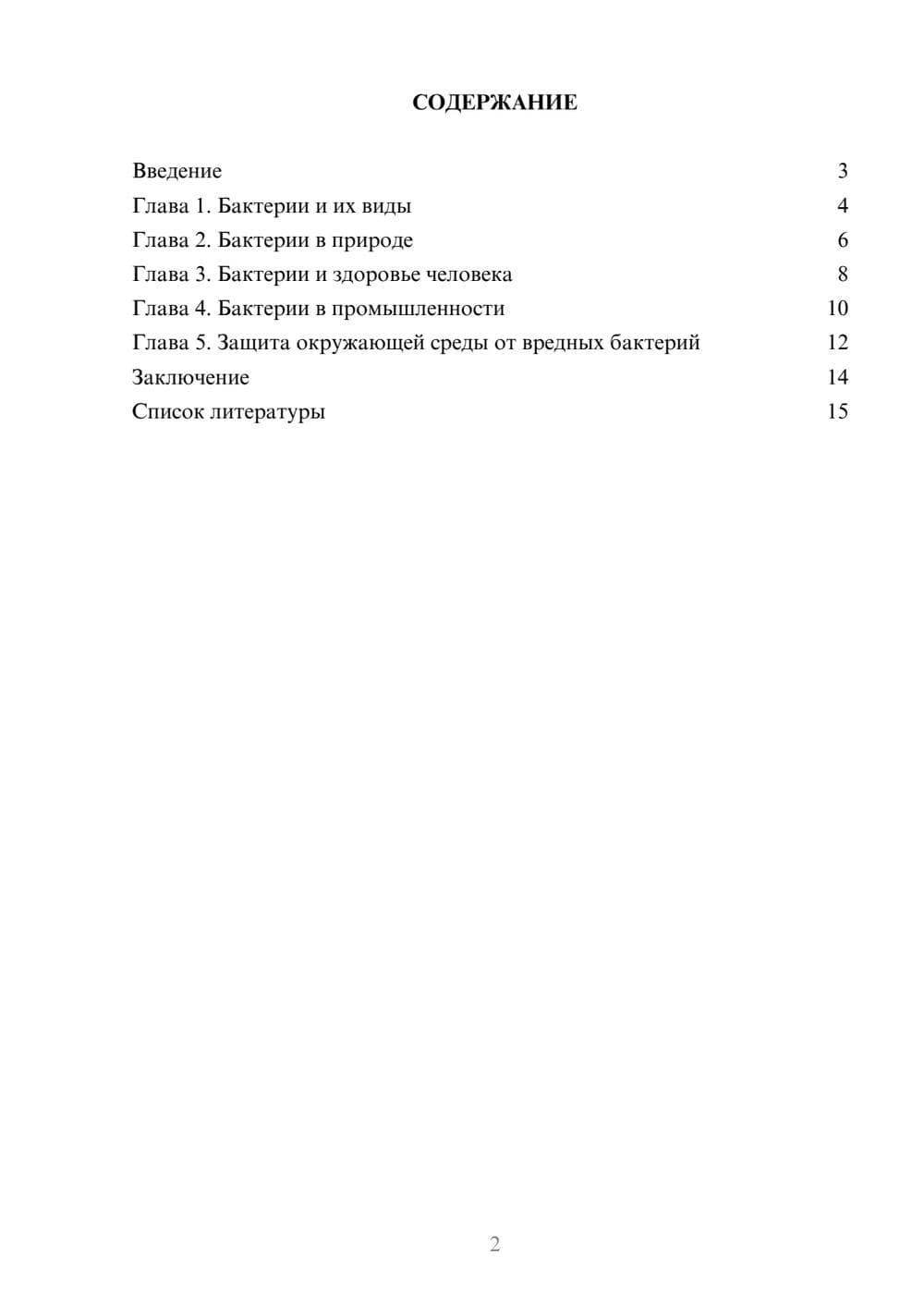 Предпросмотр доклада 2