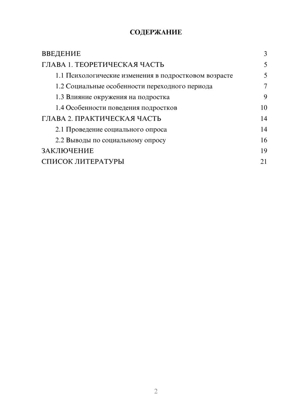 Предпросмотр проекта 2