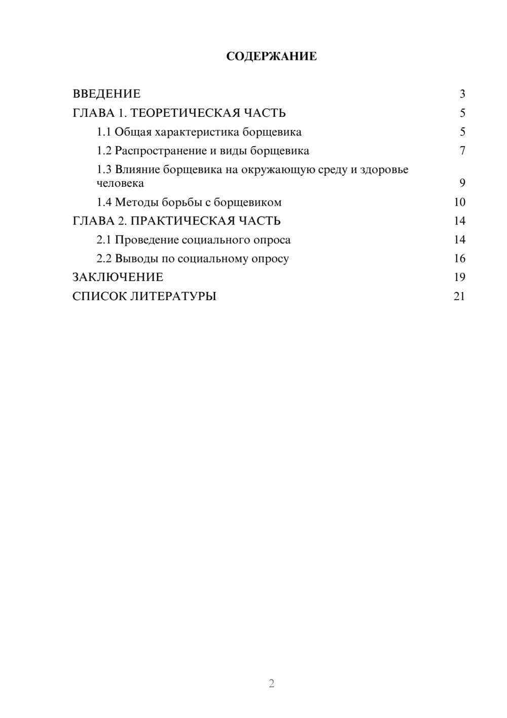 Предпросмотр проекта 2