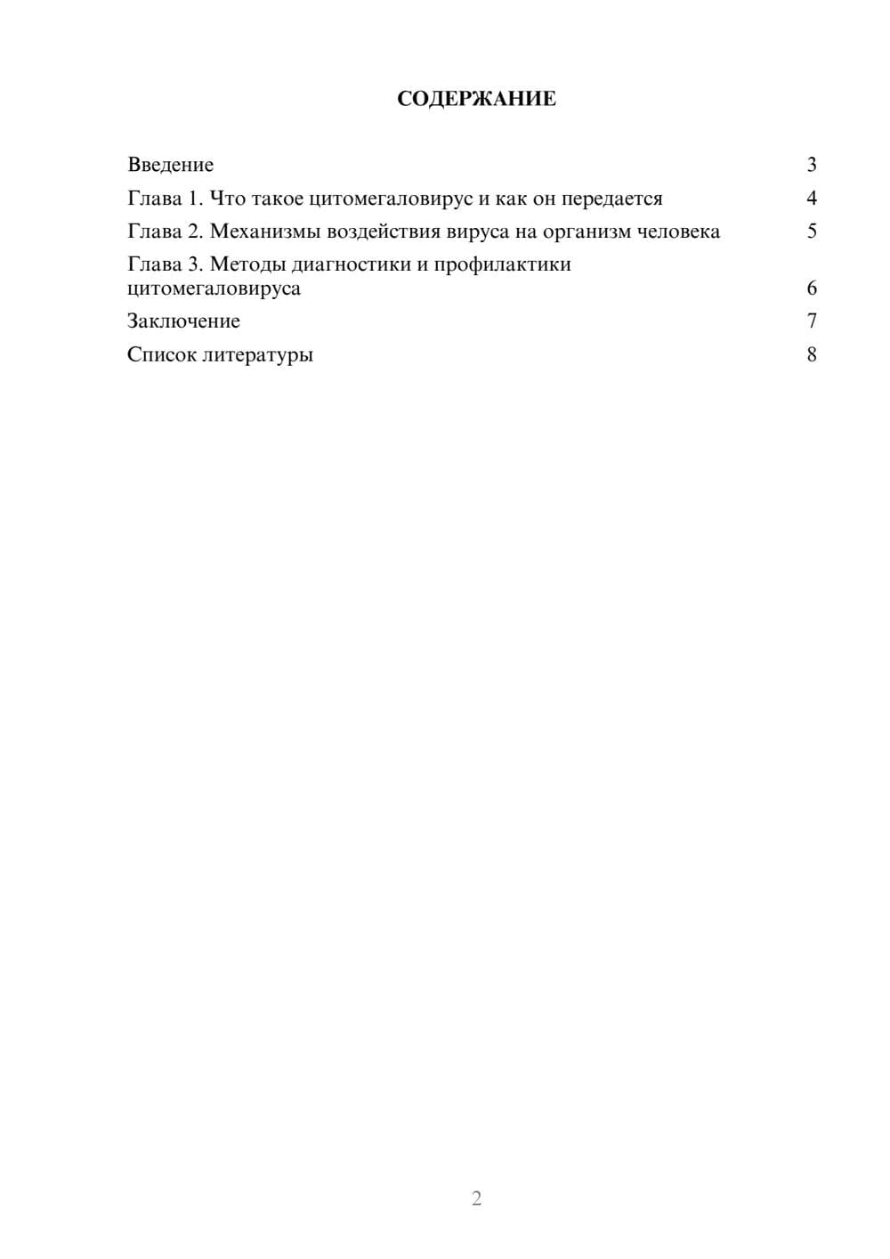 Предпросмотр доклада 2