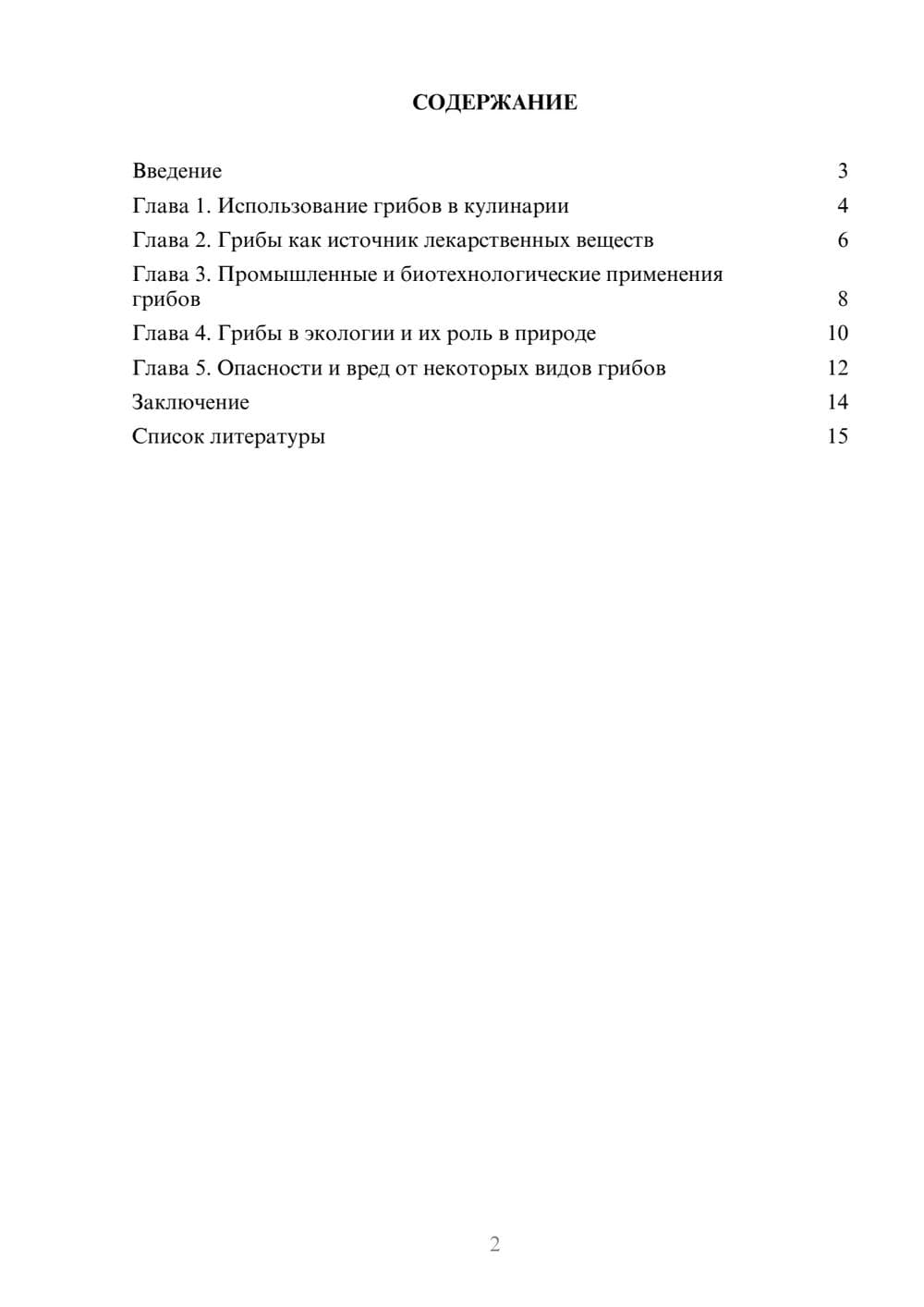 Предпросмотр доклада 2