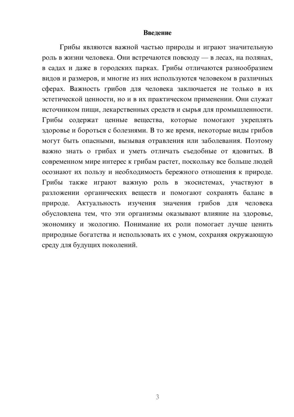Предпросмотр доклада 3