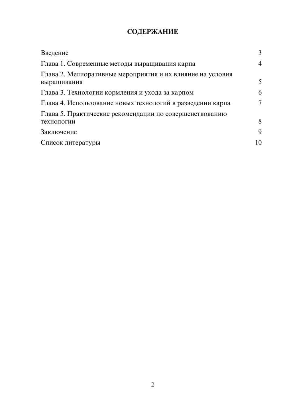 Предпросмотр доклада 2