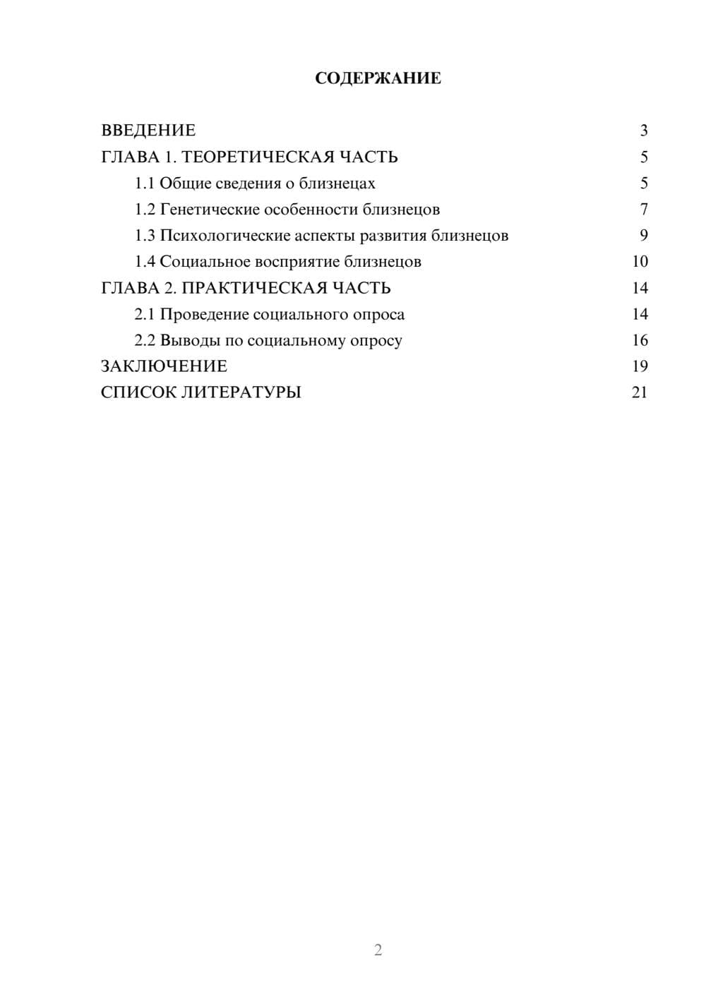 Предпросмотр проекта 2