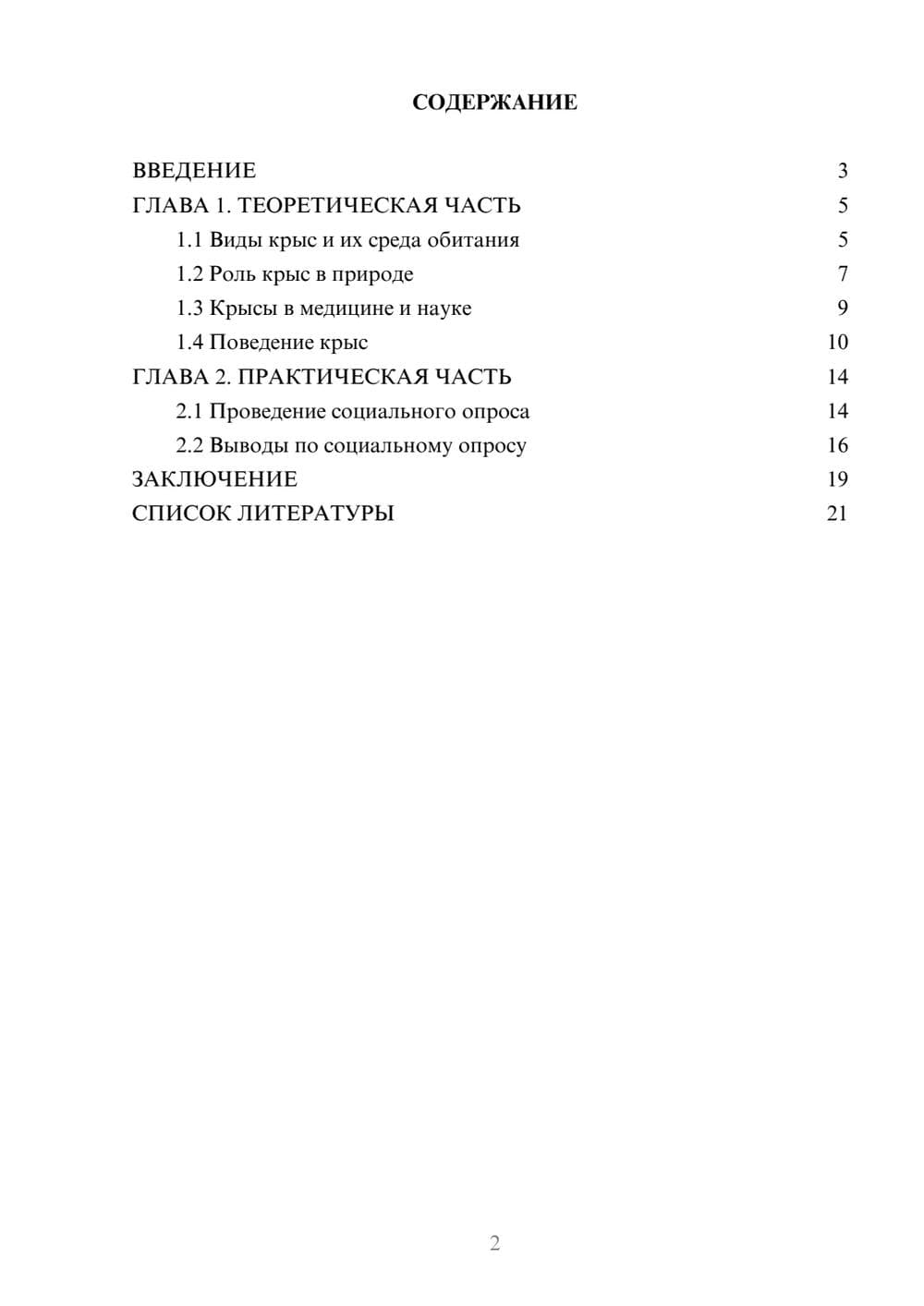 Предпросмотр проекта 2