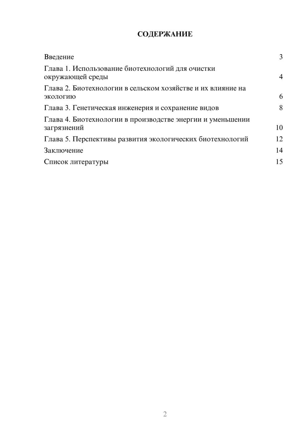 Предпросмотр доклада 2