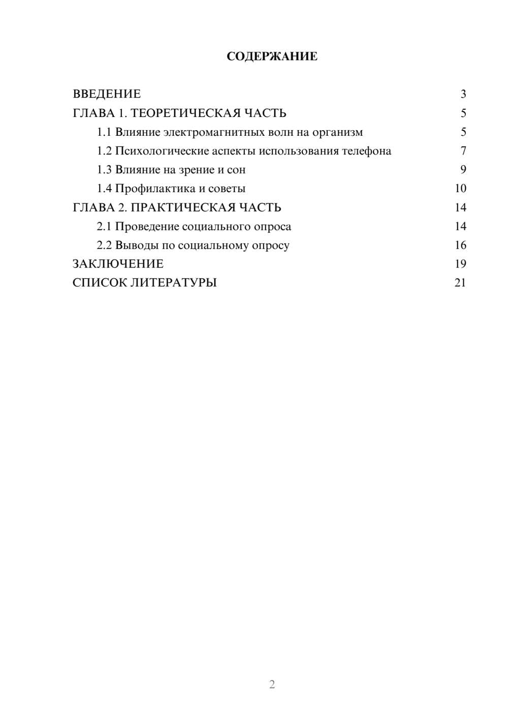 Предпросмотр проекта 2