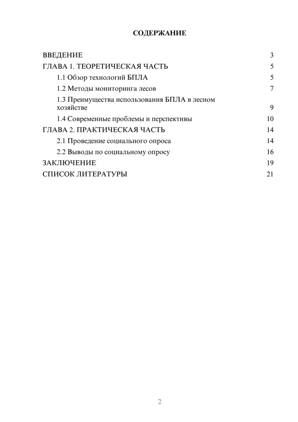 Предпросмотр проекта 2