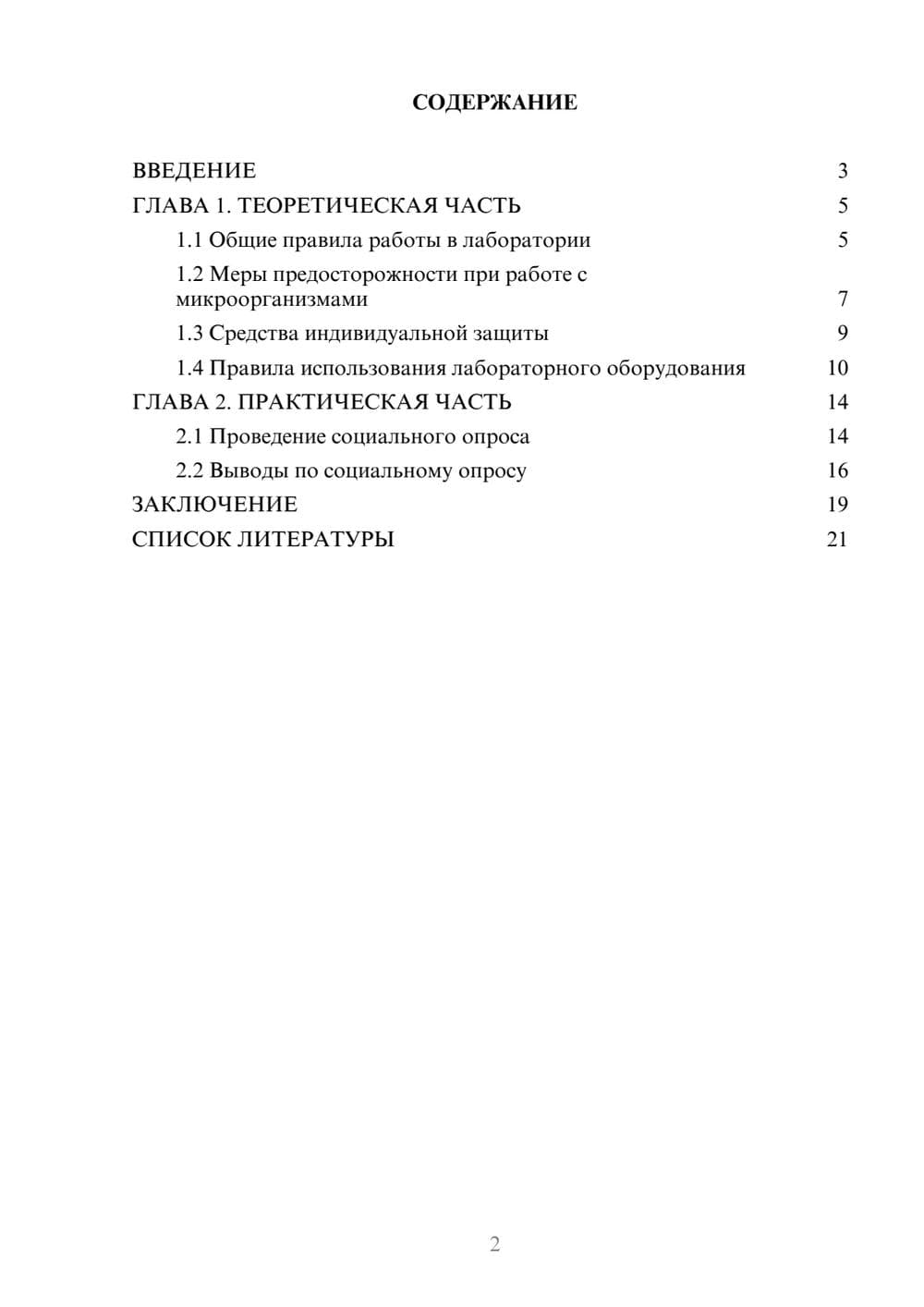 Предпросмотр проекта 2