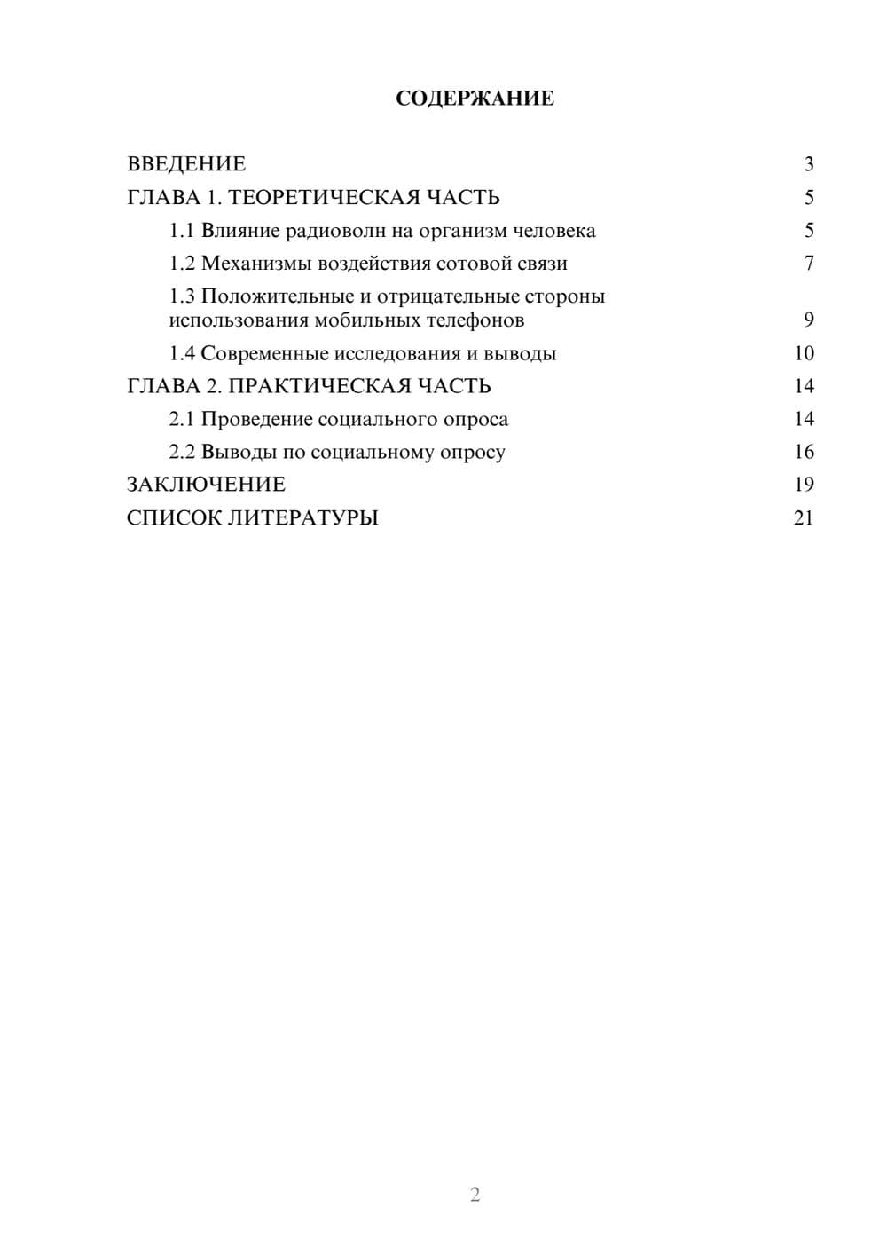 Предпросмотр проекта 2