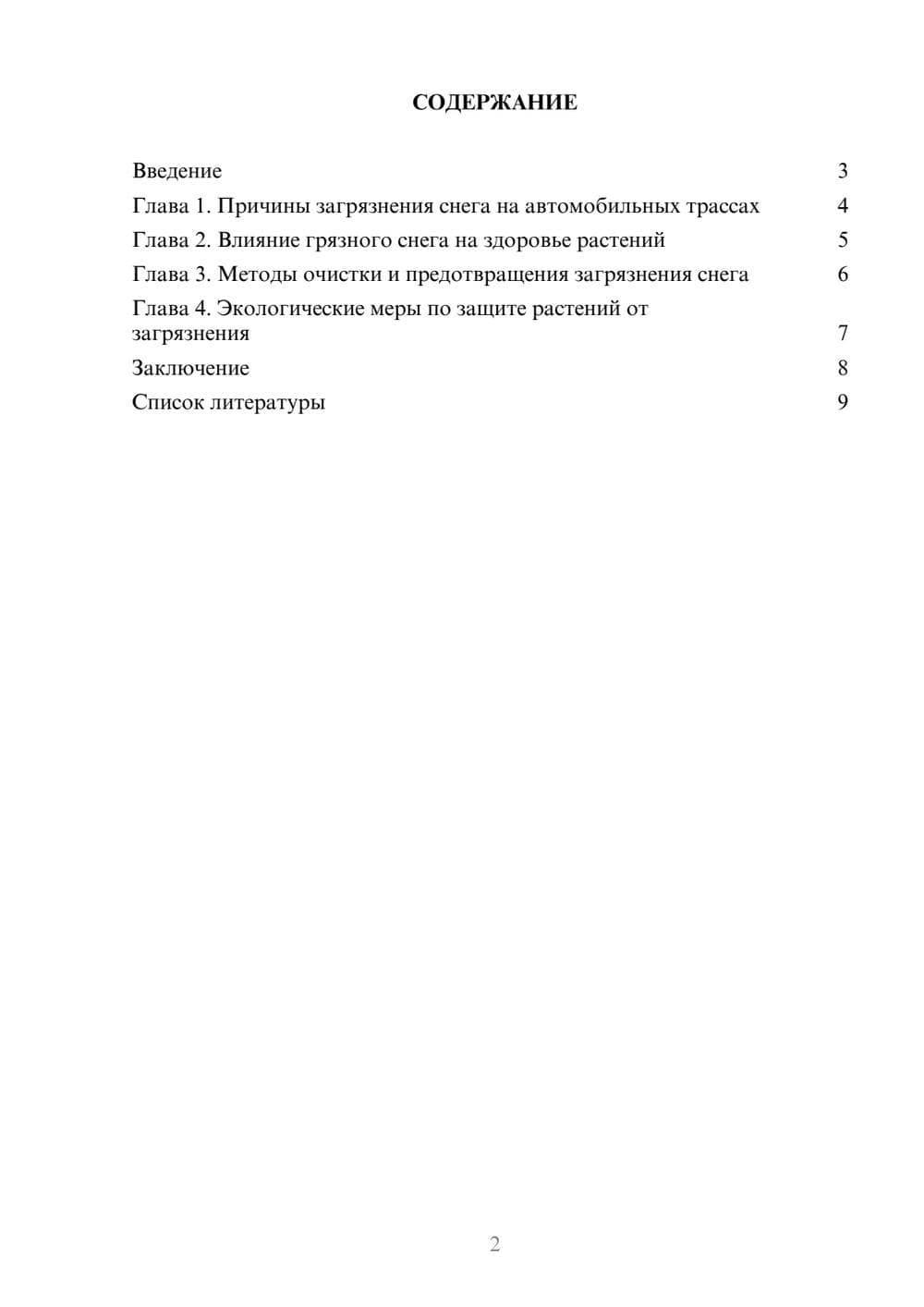 Предпросмотр доклада 2