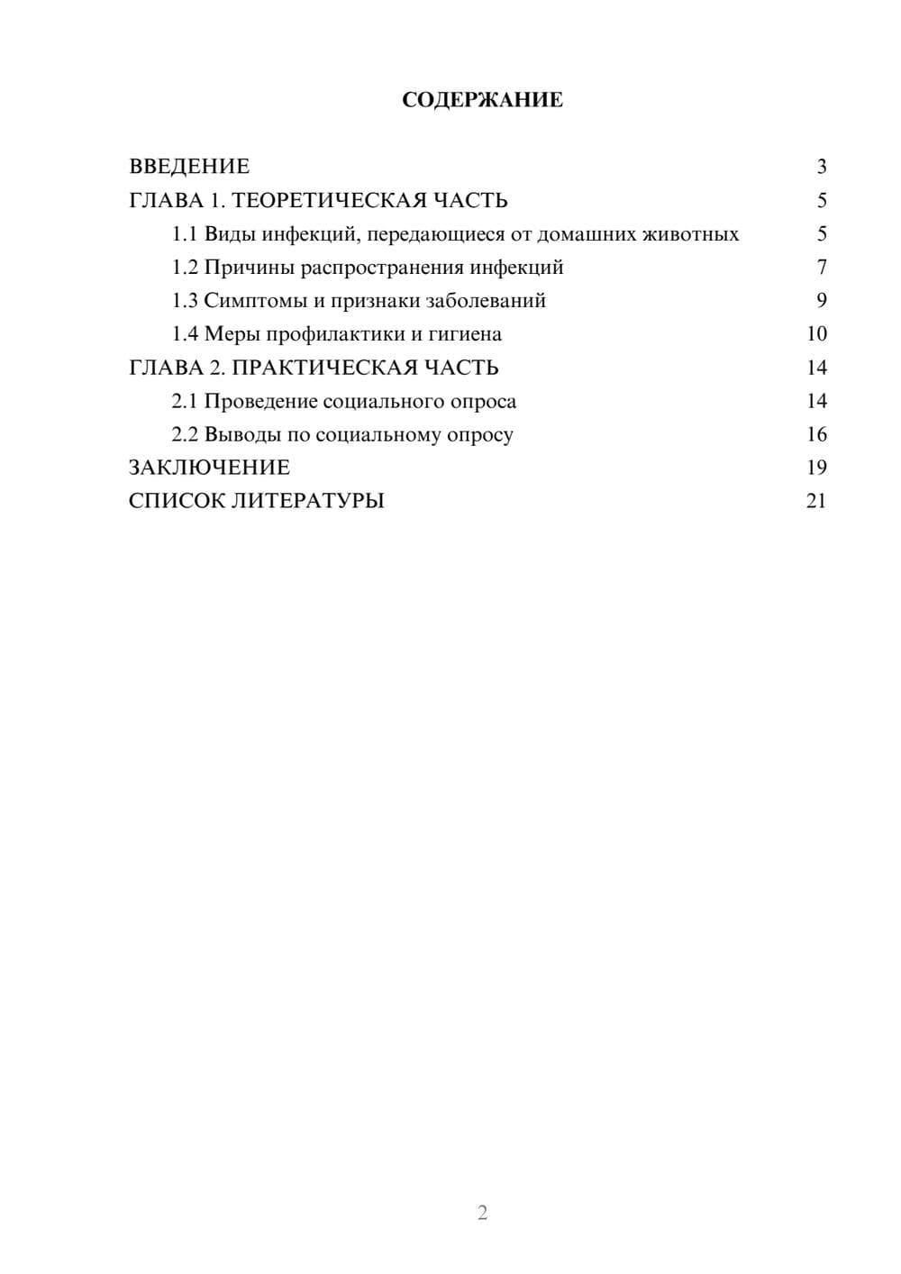 Предпросмотр проекта 2