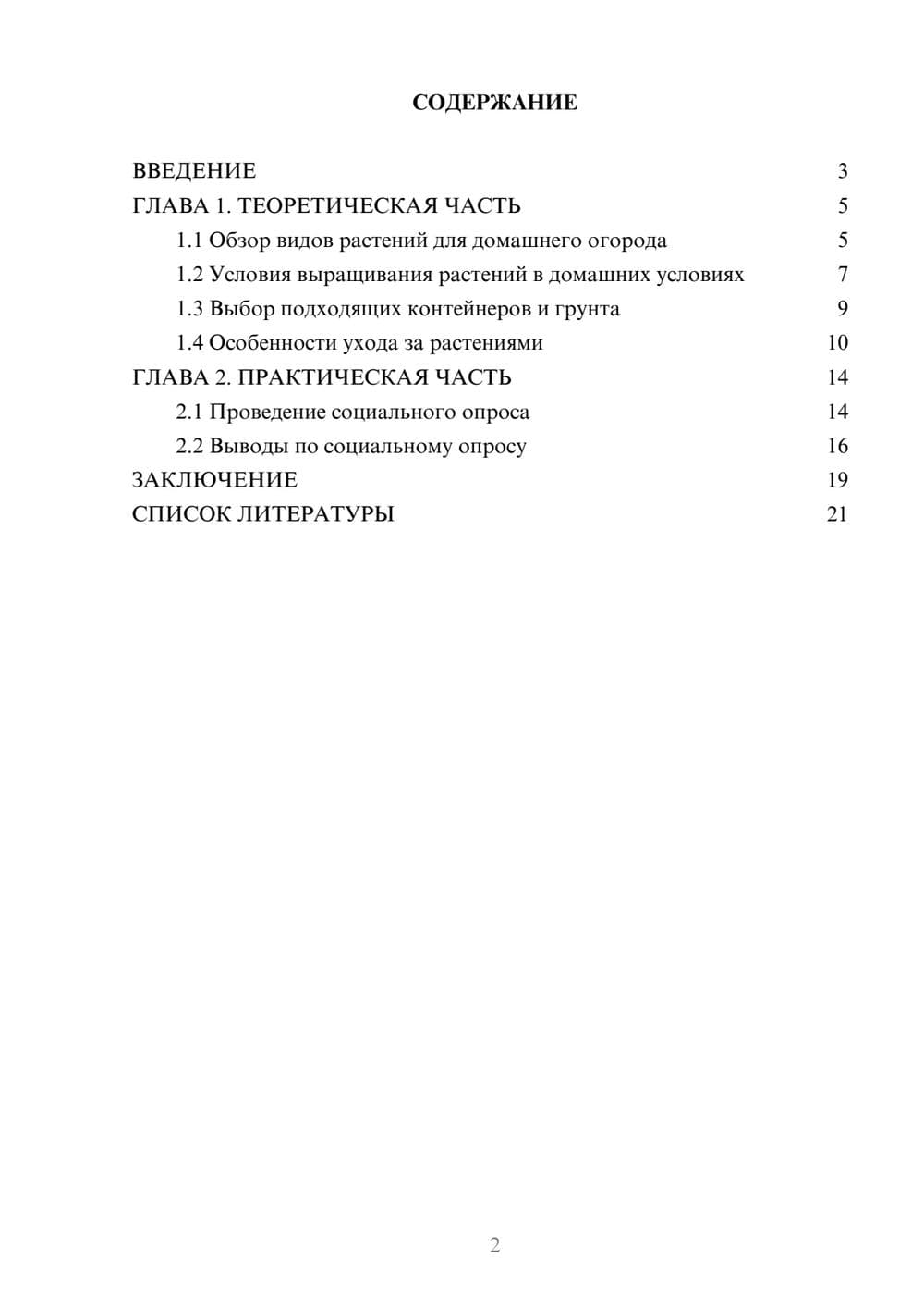 Предпросмотр проекта 2