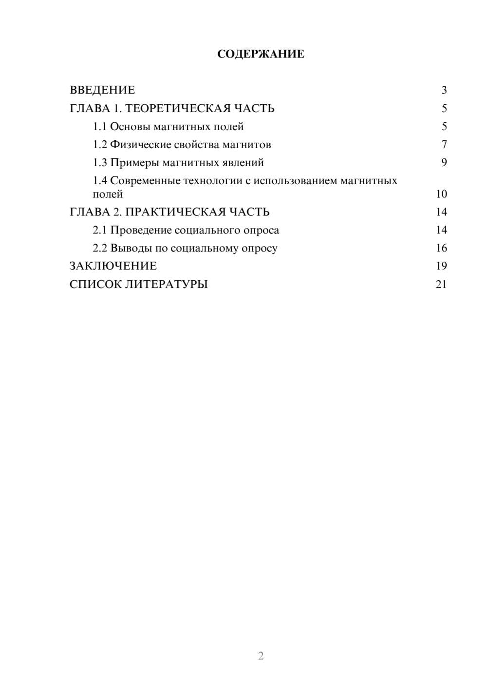 Предпросмотр проекта 2