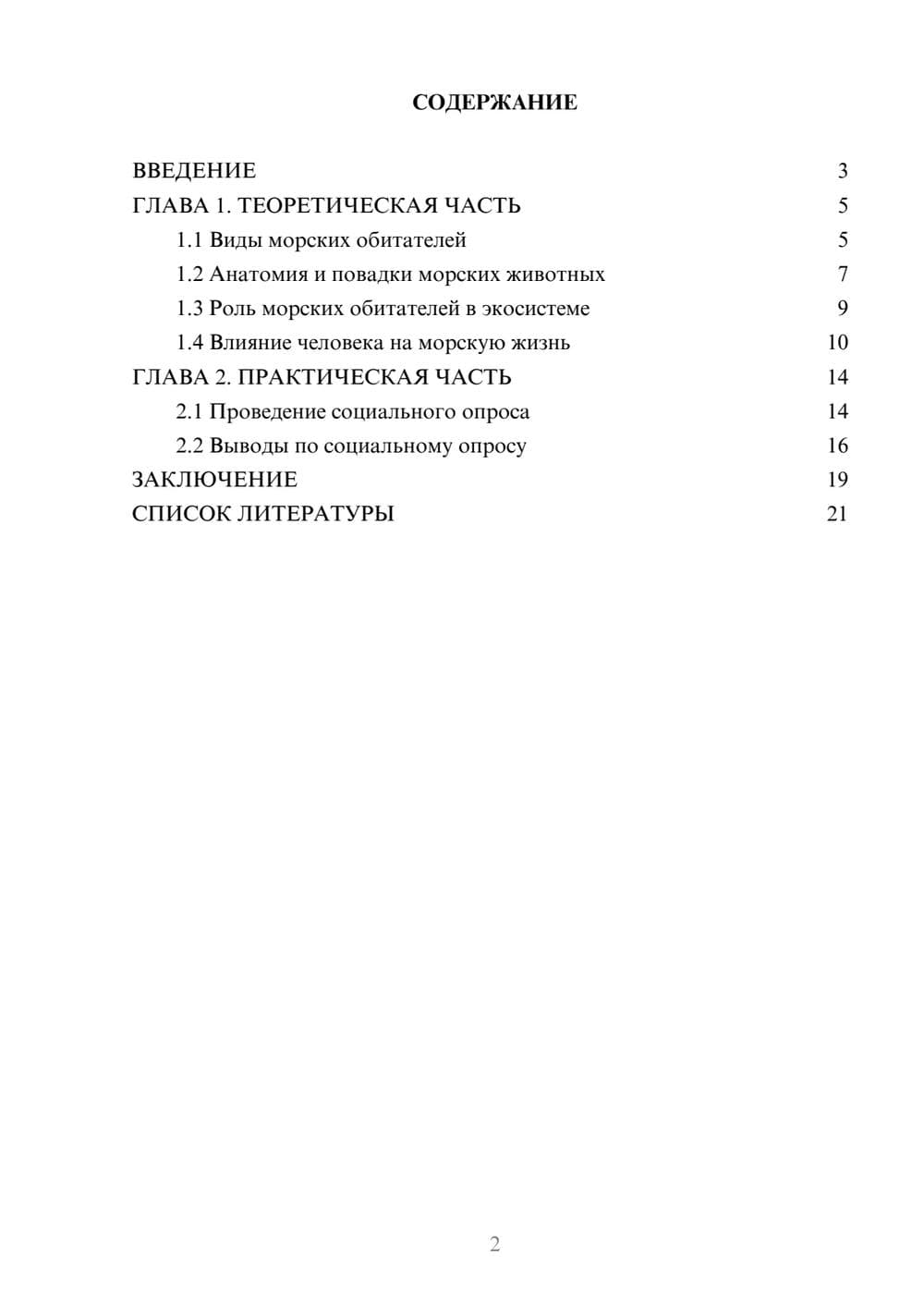 Предпросмотр проекта 2