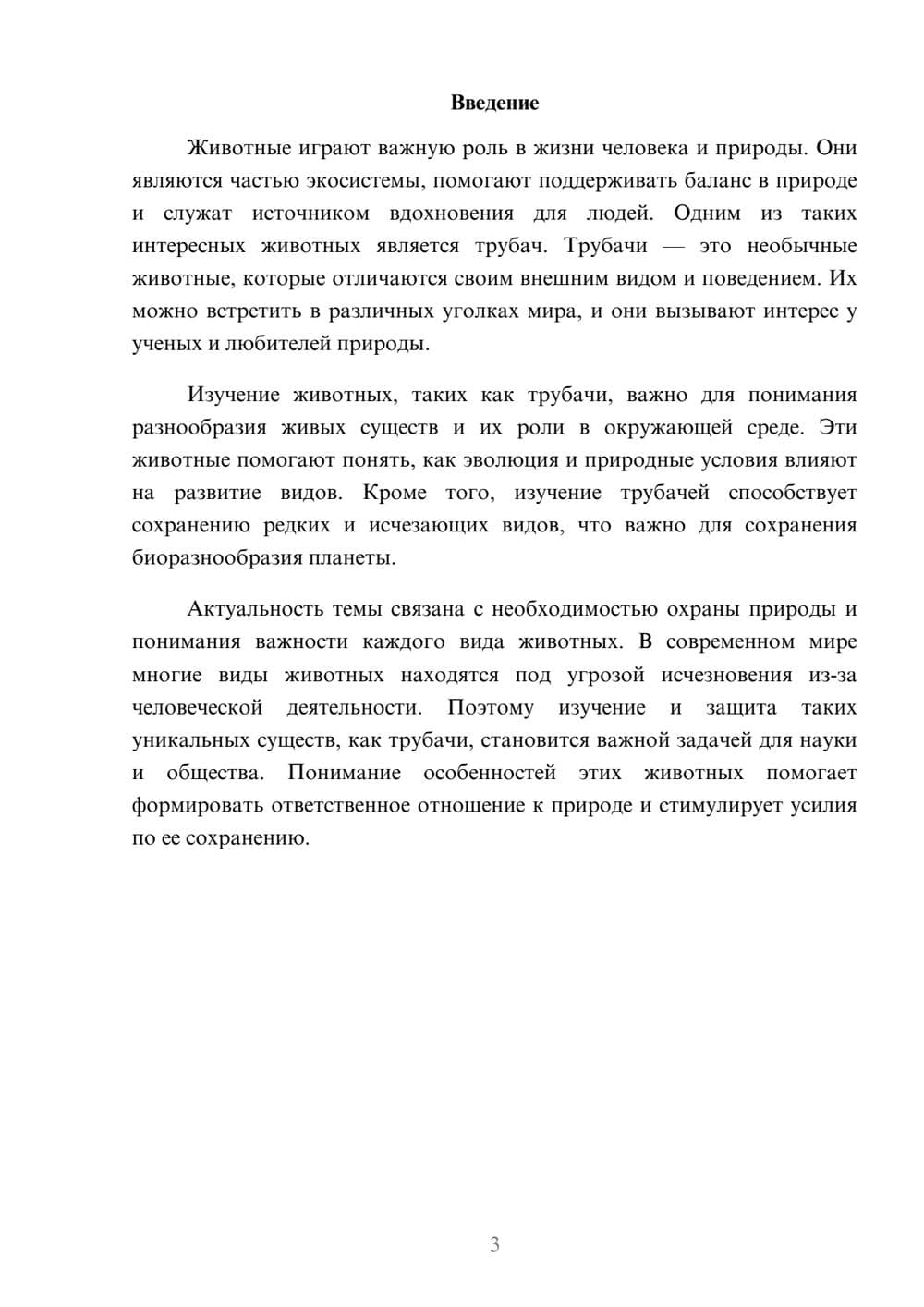 Предпросмотр доклада 3