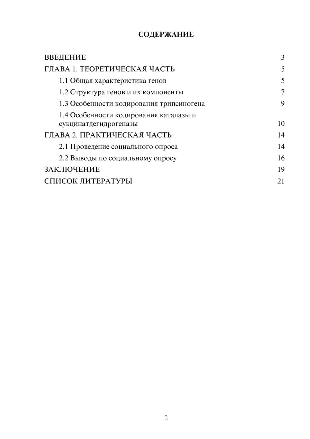 Предпросмотр проекта 2