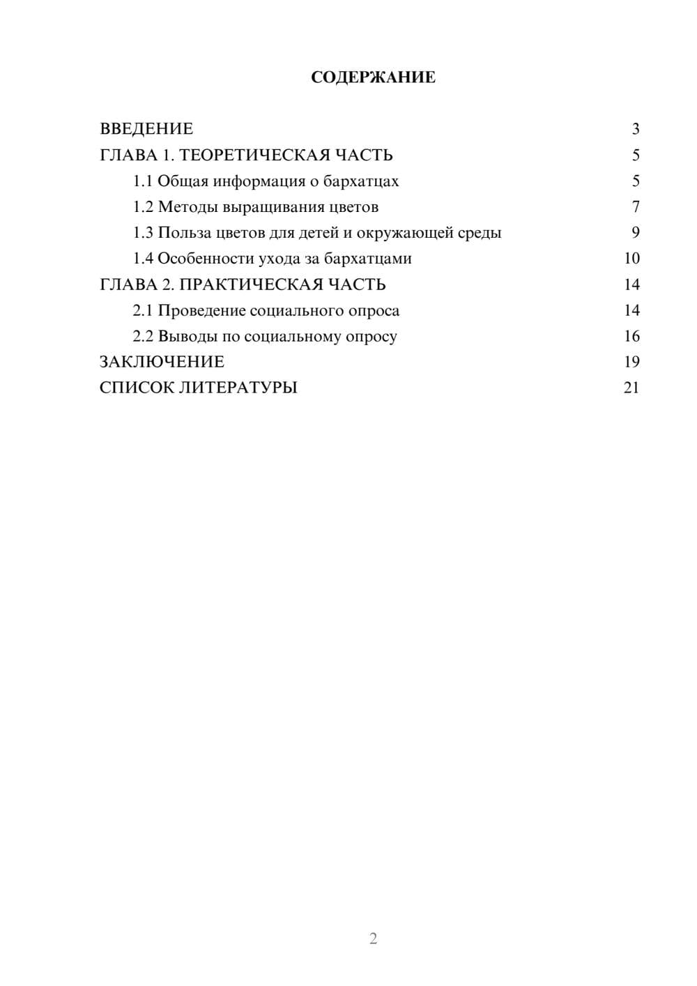 Предпросмотр проекта 2