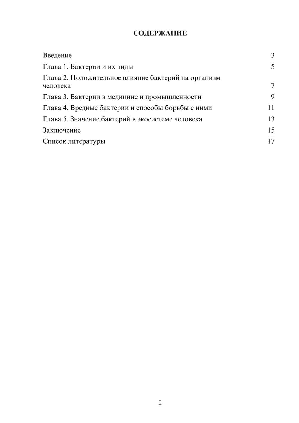 Предпросмотр доклада 2