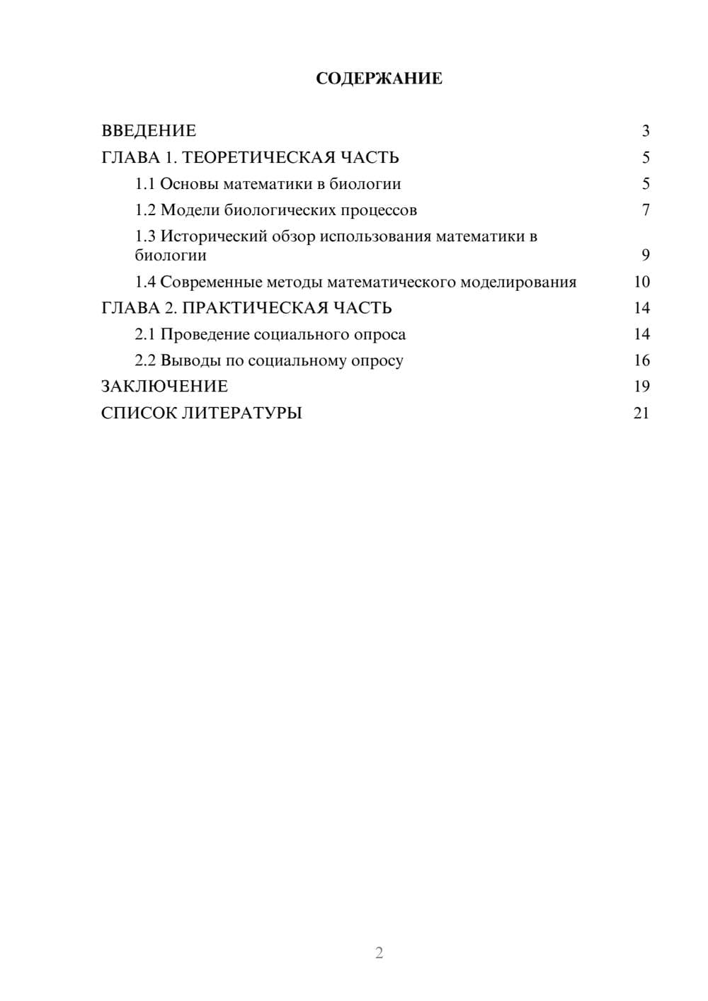 Предпросмотр проекта 2