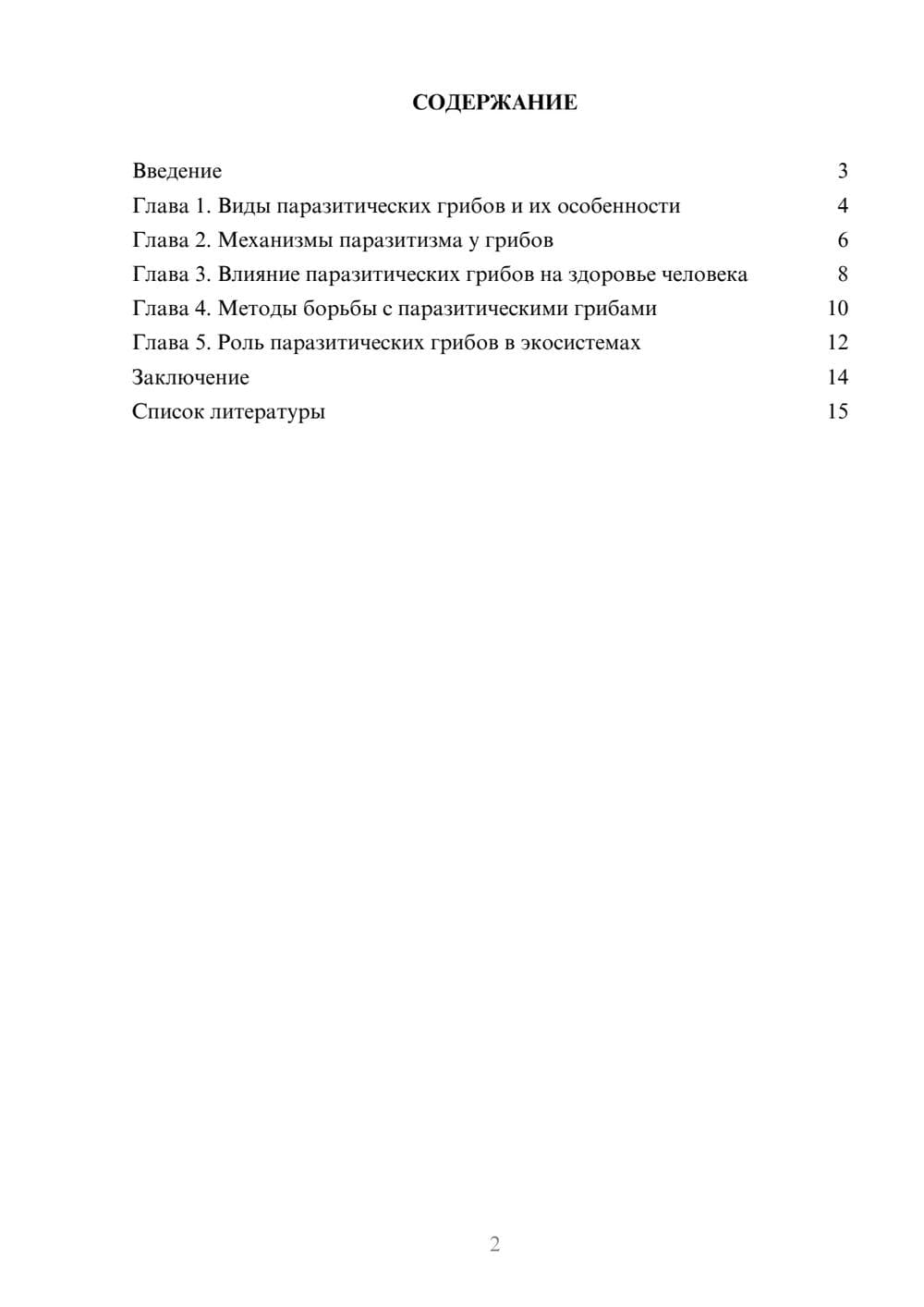 Предпросмотр доклада 2