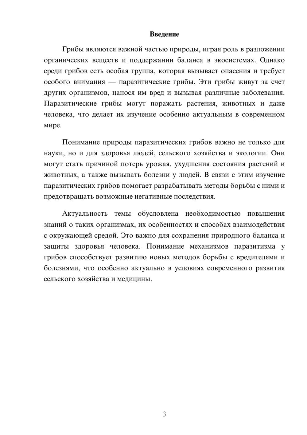 Предпросмотр доклада 3