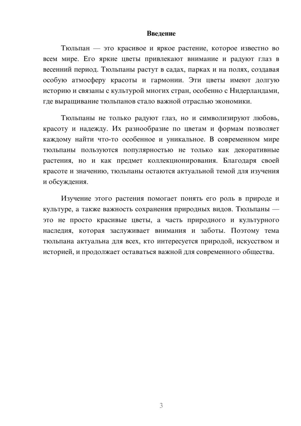 Предпросмотр доклада 3