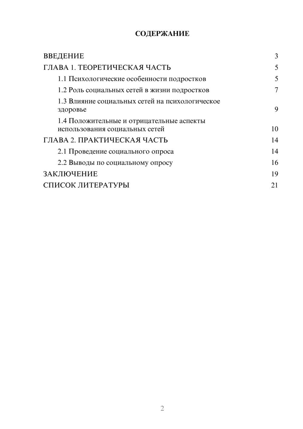 Предпросмотр проекта 2