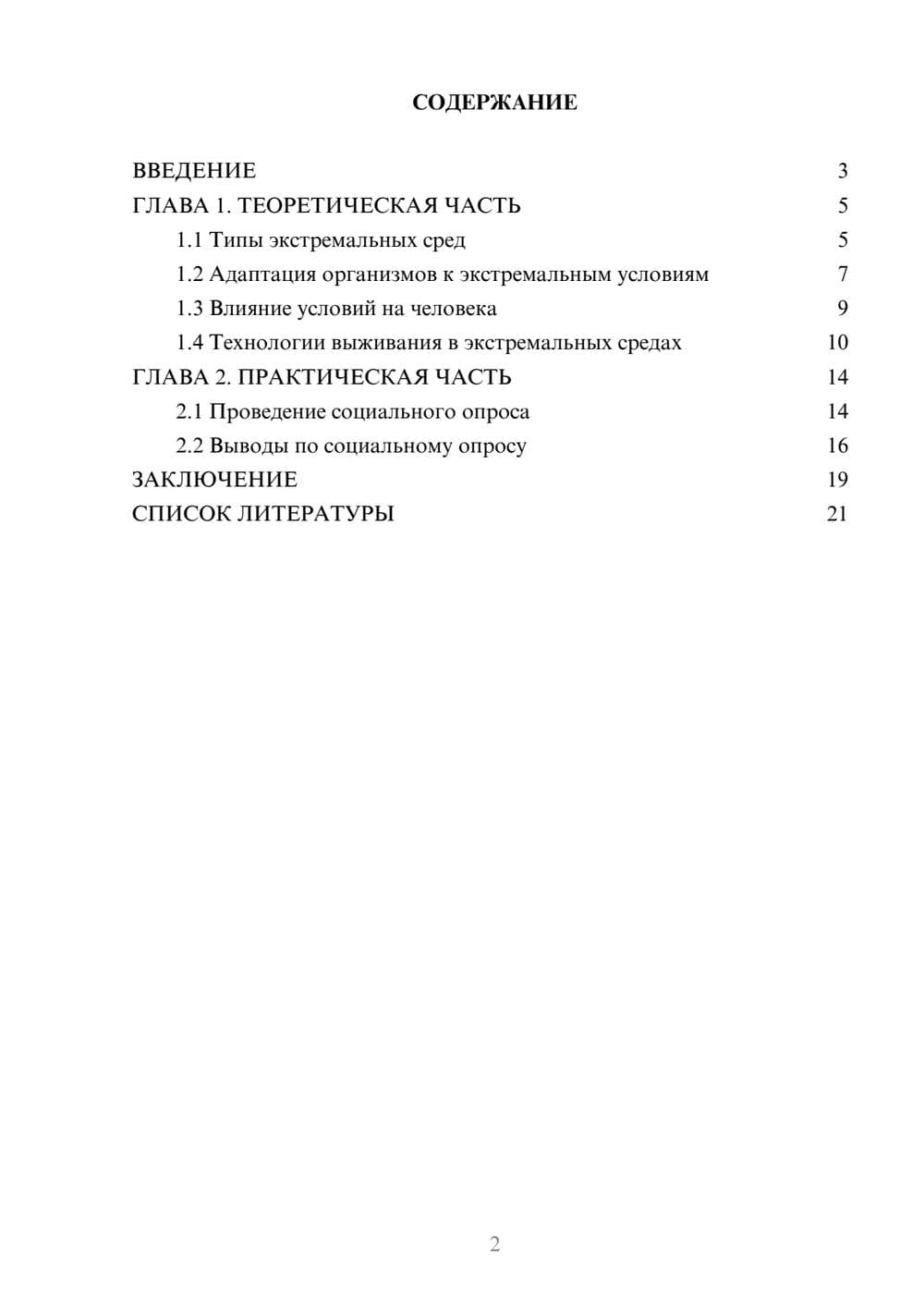 Предпросмотр проекта 2