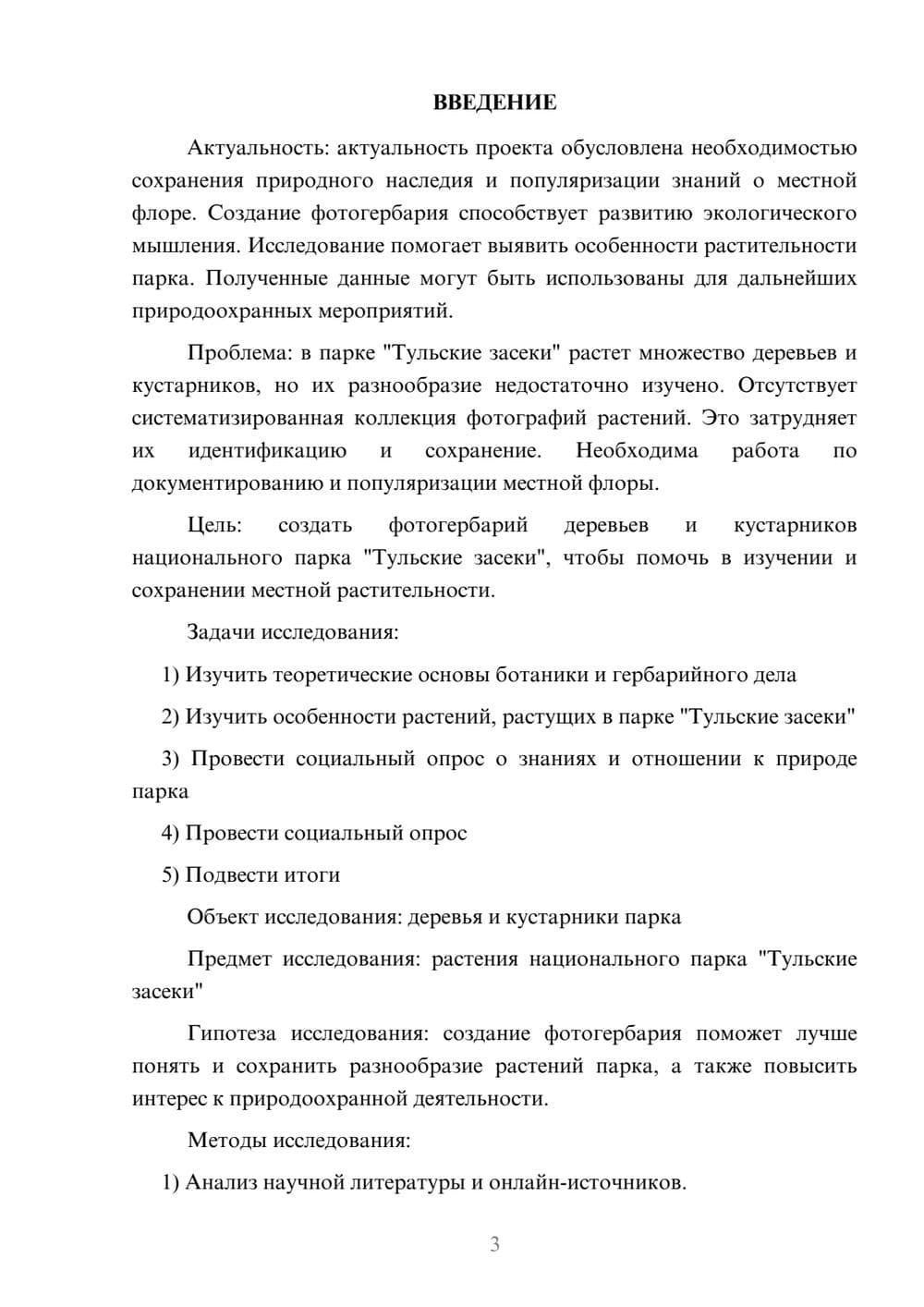 Предпросмотр проекта 3