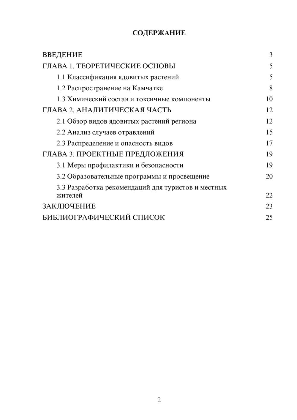 Предпросмотр проекта 2