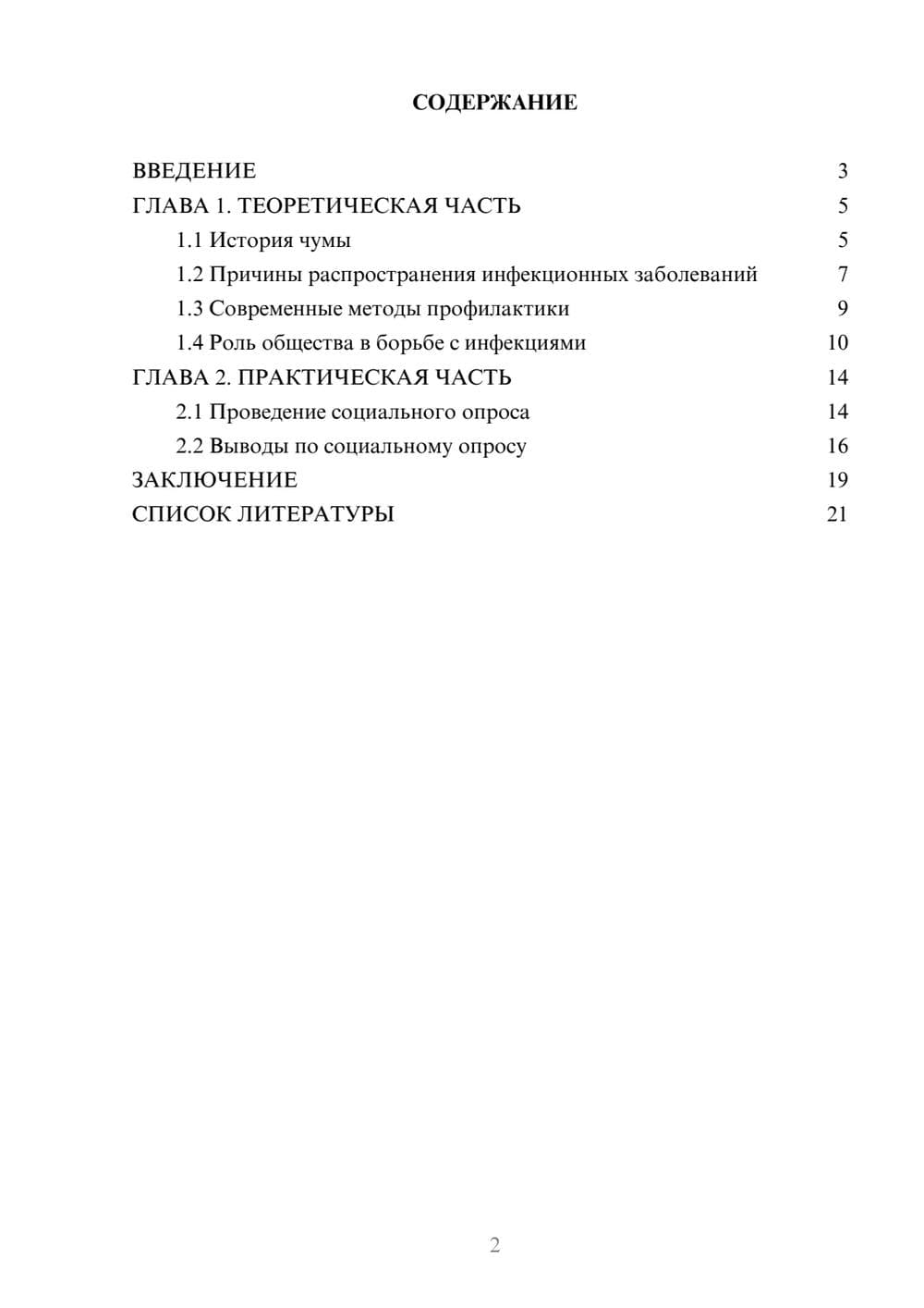 Предпросмотр проекта 2